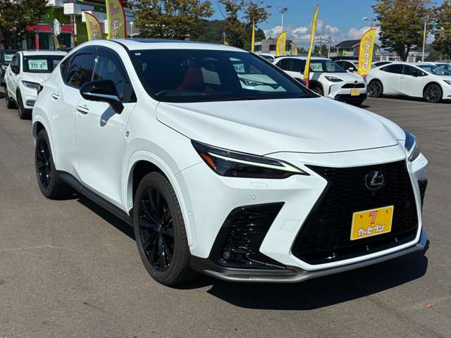 Lexus NX 12