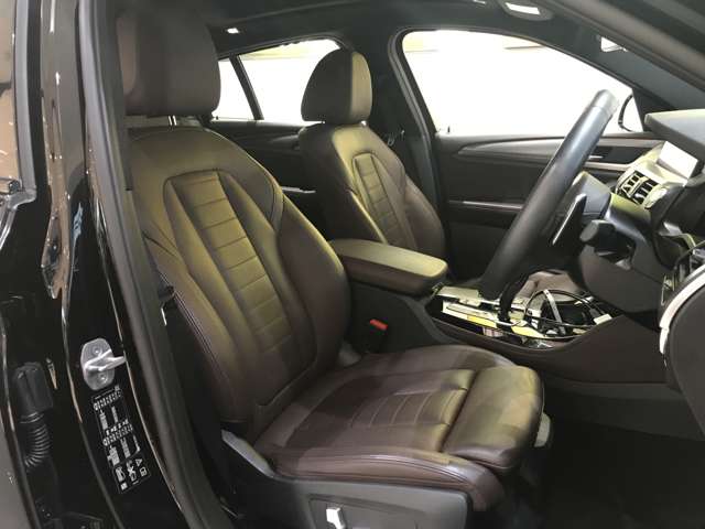 BMW X4 10