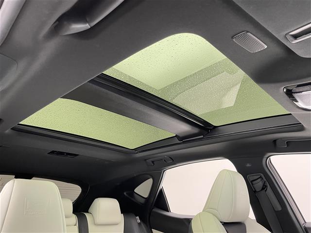 Lexus NX 8