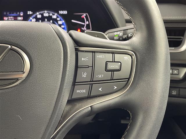 Lexus UX 12