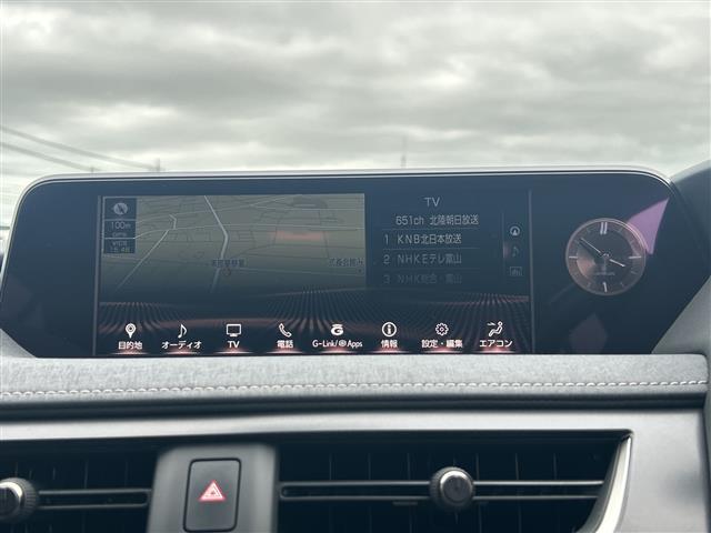 Lexus UX 8