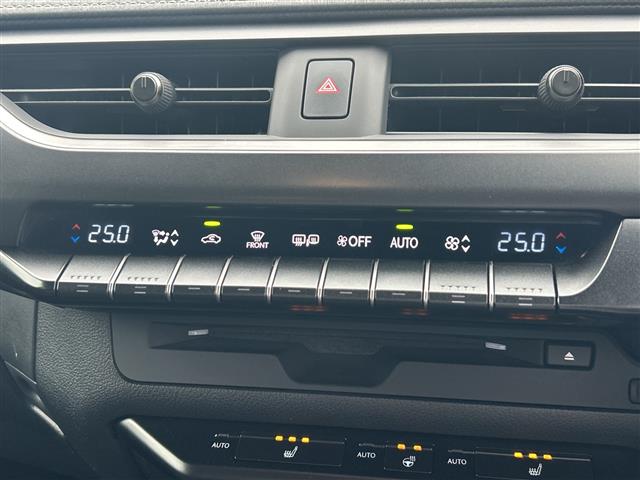 Lexus UX 10