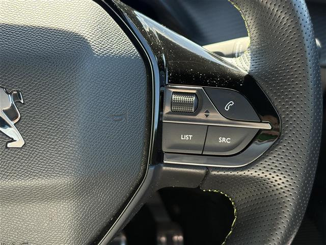 Peugeot SUV e-2008 12