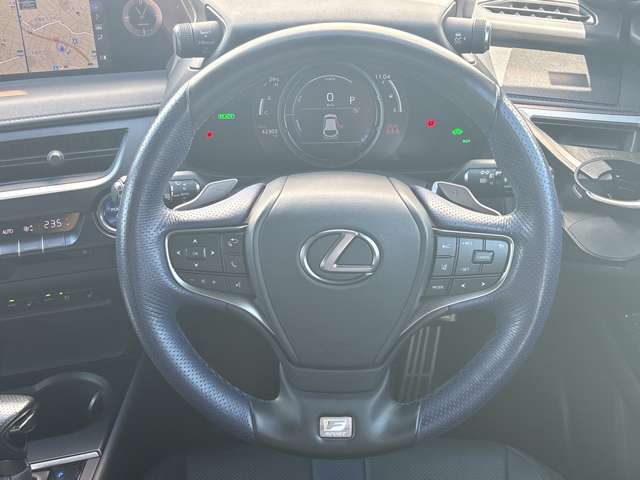 Lexus UX 12