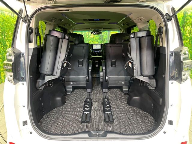 Toyota Vellfire 11