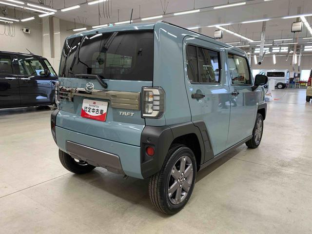 Daihatsu Taft 11