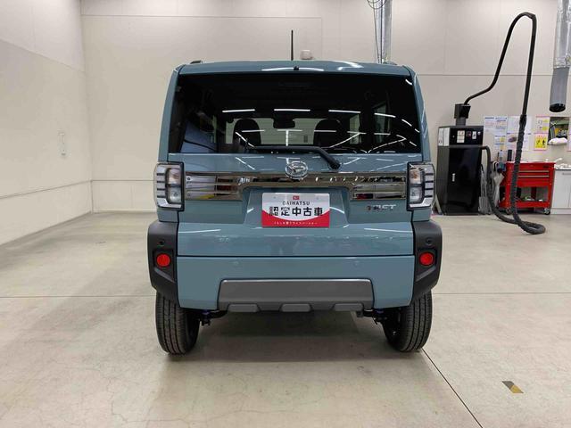 Daihatsu Taft 6