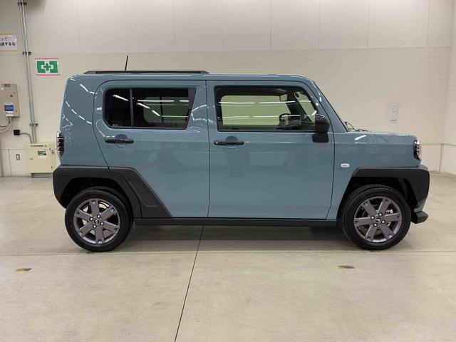 Daihatsu Taft 7