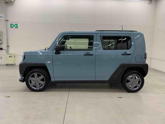Daihatsu Taft 8