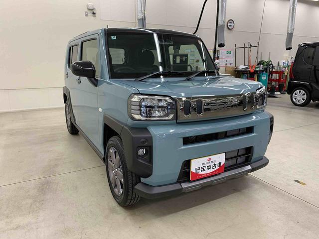 Daihatsu Taft 9