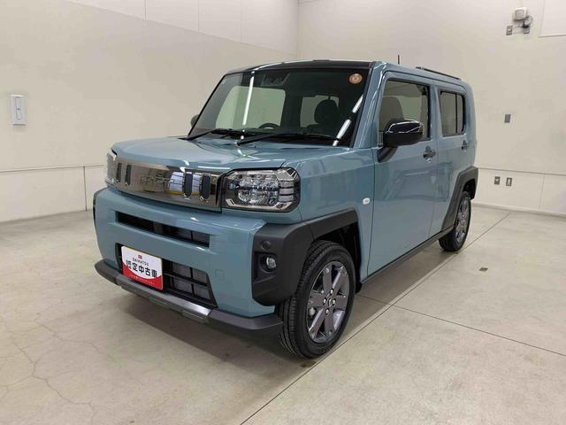 Daihatsu Taft 10