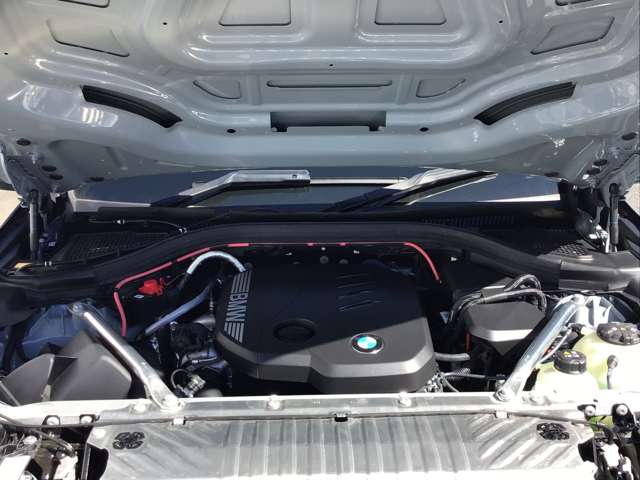 BMW X3 8