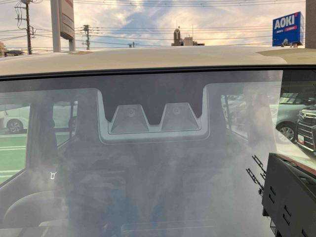 Daihatsu Taft 11