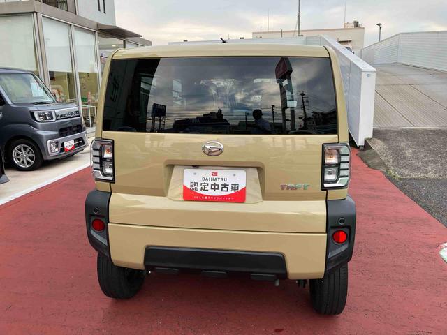 Daihatsu Taft 6