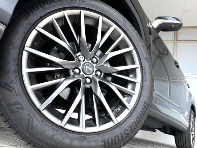 Lexus RX 11