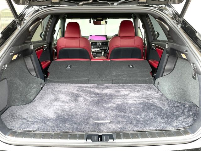 Lexus RX 9