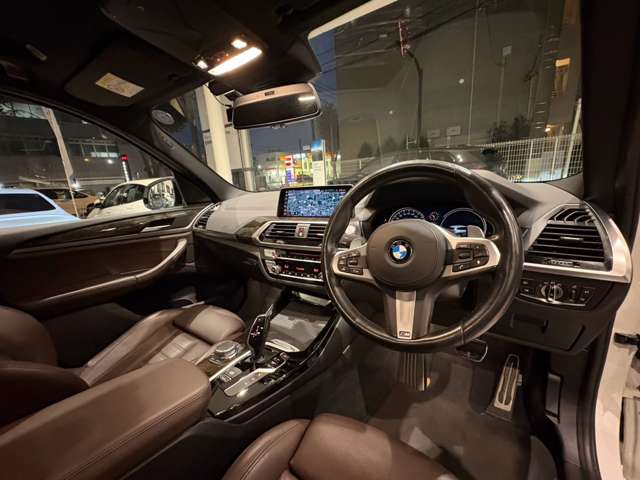 BMW X3 9