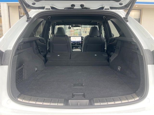 Lexus NX 12