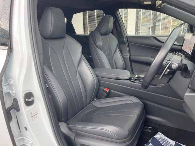Lexus NX 10