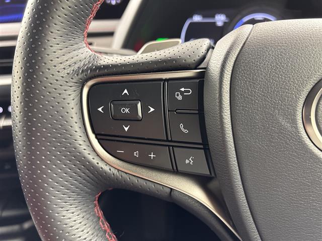 Lexus UX 12
