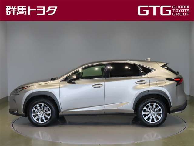 Lexus NX 4