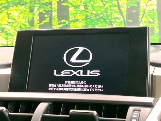 Lexus NX 3