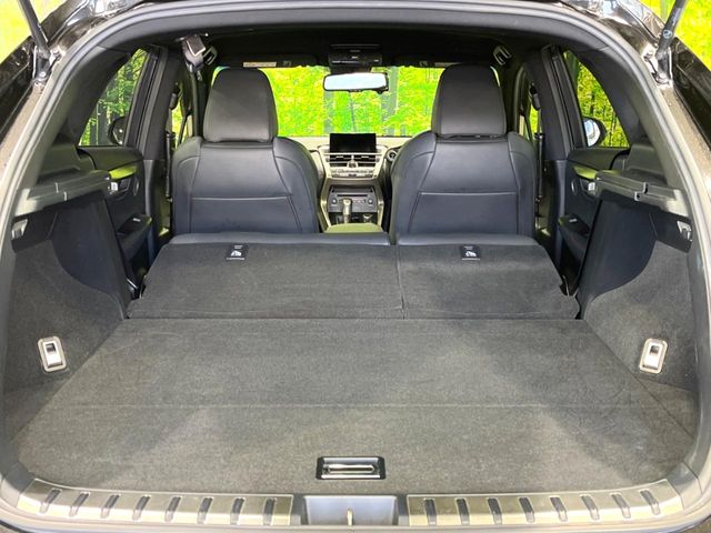 Lexus NX 10
