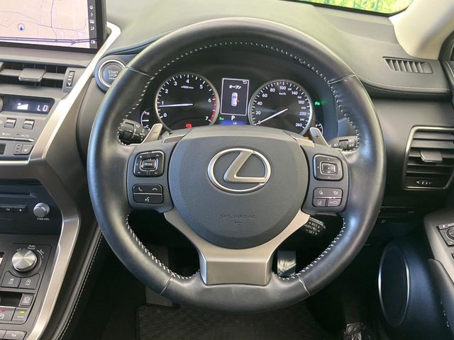 Lexus NX 12