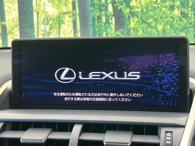 Lexus NX 4