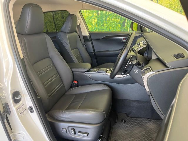 Lexus NX 9