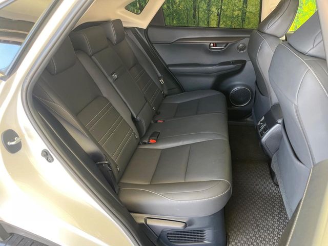 Lexus NX 10