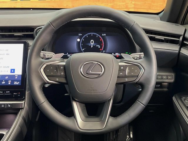 Lexus LBX 12