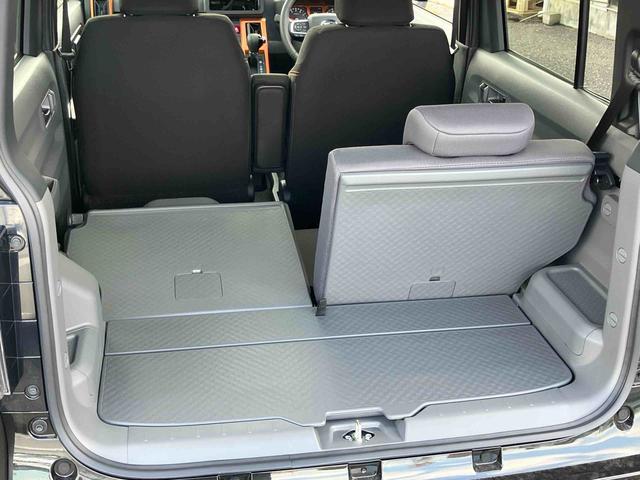 Daihatsu Taft 11