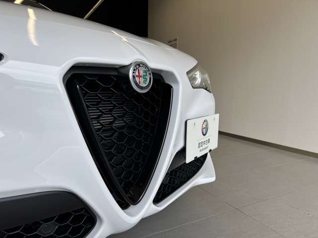 Alfa Romeo Stelvio 7