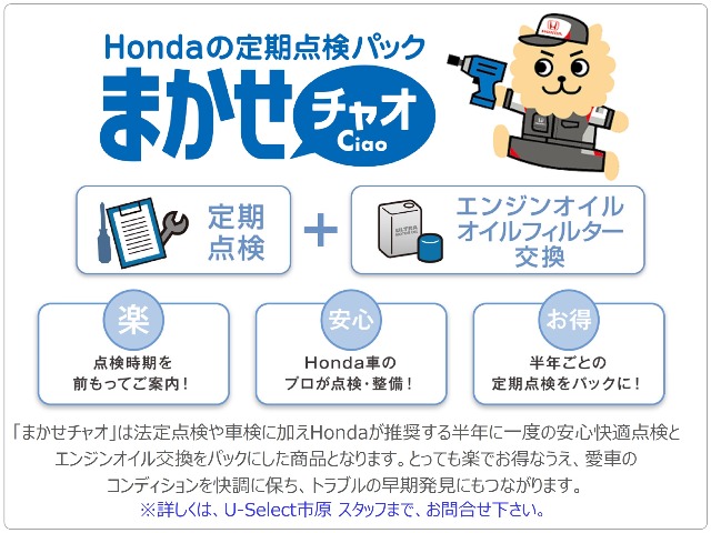 Honda N-VAN e: 12
