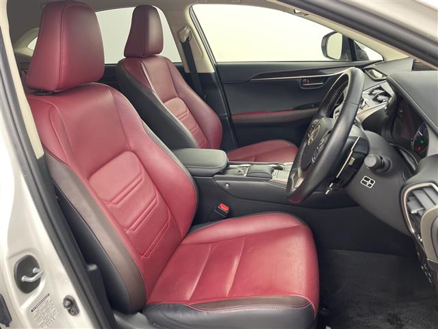 Lexus NX 12