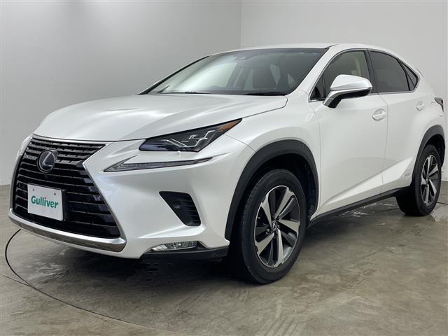 Lexus NX 4