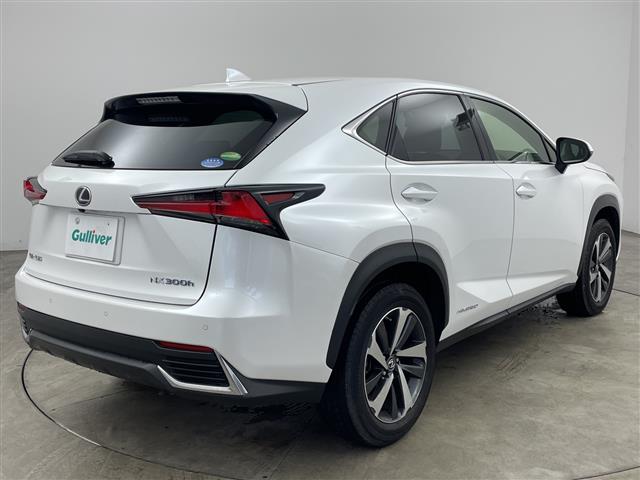 Lexus NX 5