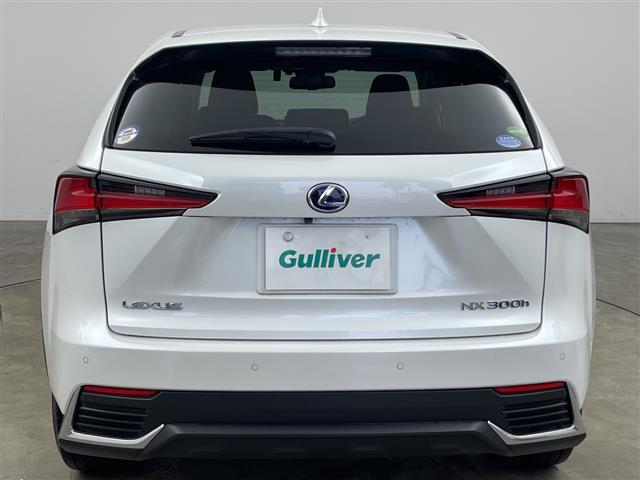 Lexus NX 7