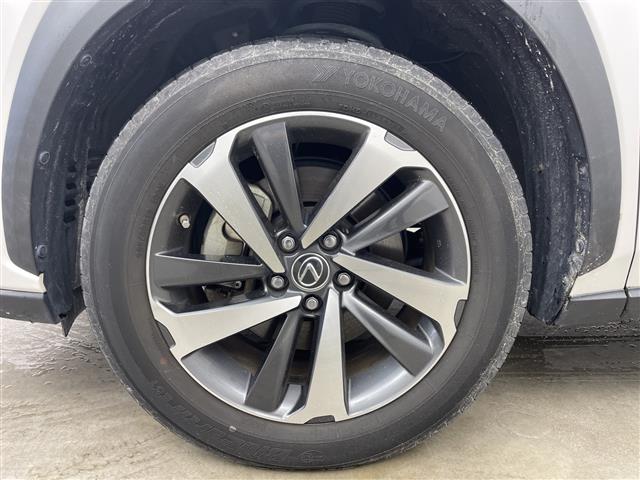 Lexus NX 10