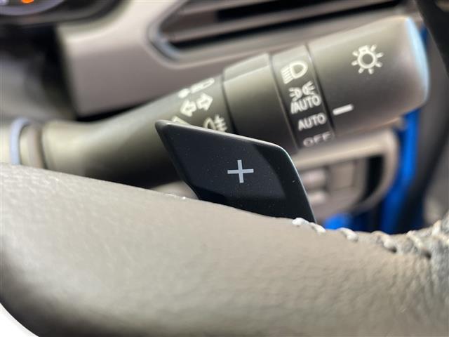 Subaru Crosstrek 9