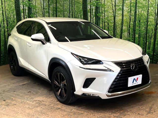 Lexus NX 11