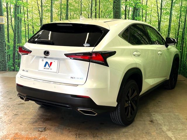 Lexus NX 12