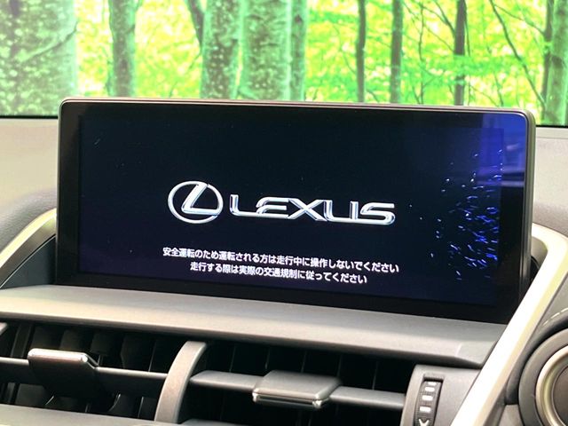 Lexus NX 3
