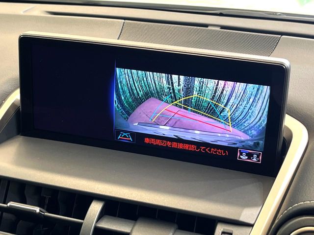 Lexus NX 4