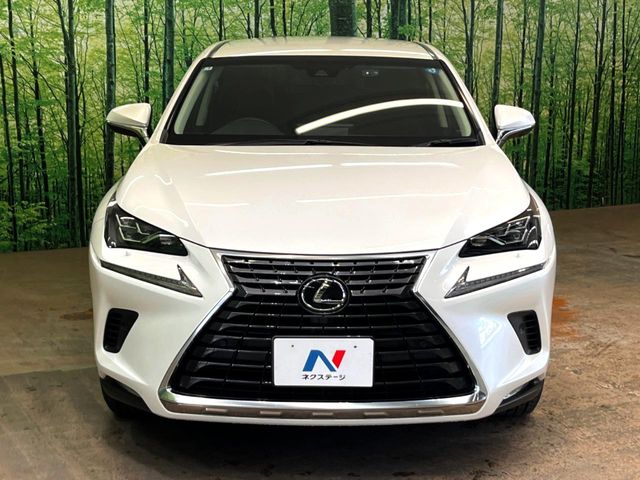 Lexus NX 9