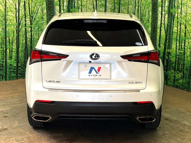 Lexus NX 10