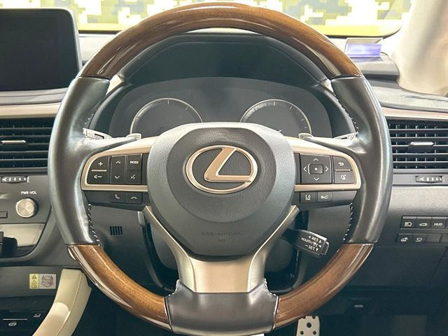 Lexus RX 11