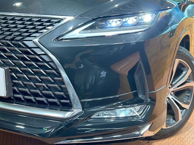 Lexus RX 12