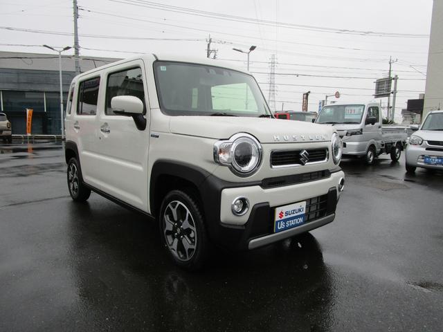 Suzuki Hustler 6